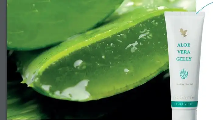 Aloe Vera Gelly 4 Aloe Vera Gelly - immagine 4
