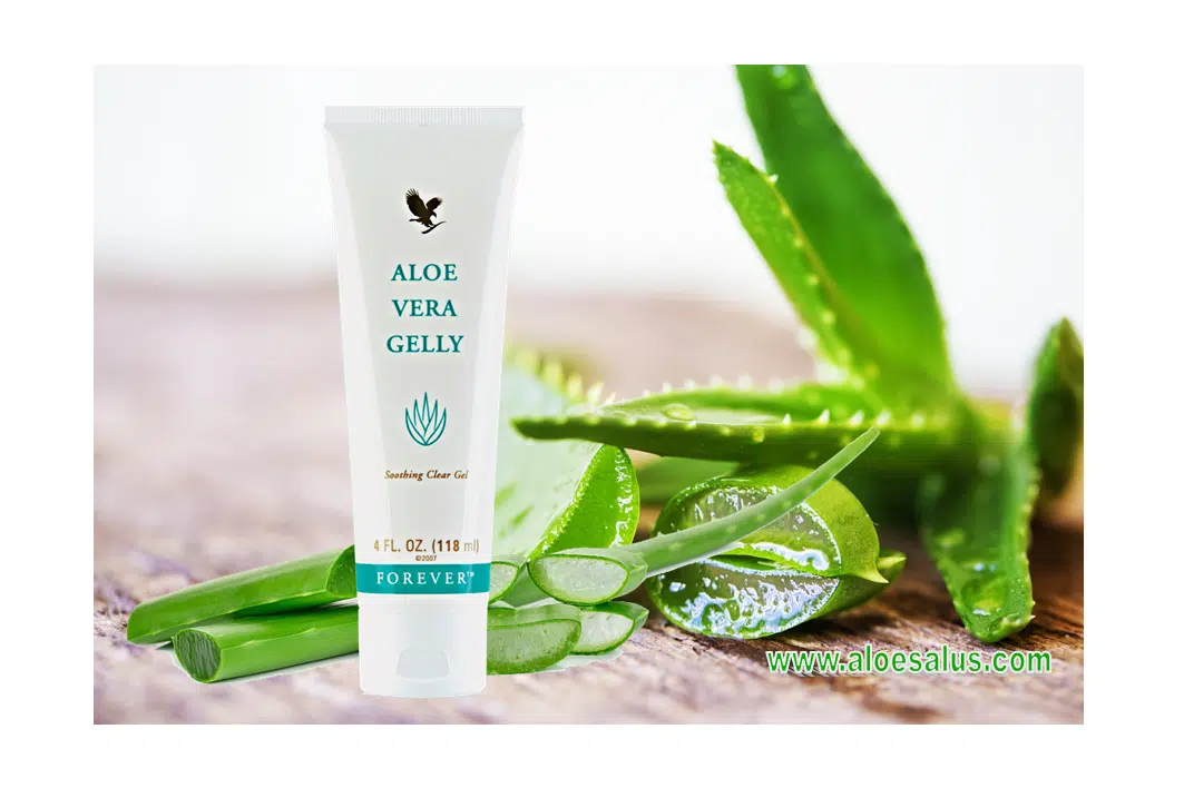 Aloe Vera Gelly 1 Aloe Vera Gelly
